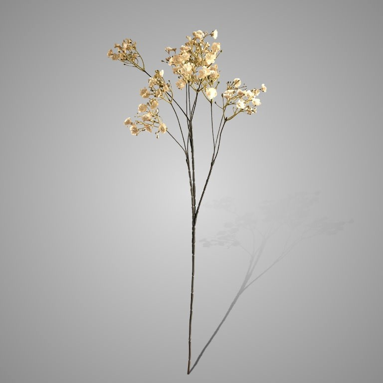 Gypsophila Off White