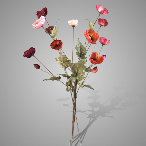 1 takje Poppy Autumn range Best Sylxz