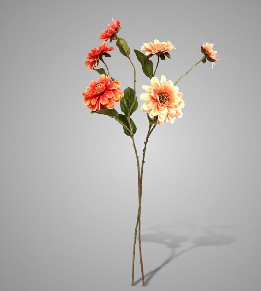 Sortment of Zinia Salmon/Orange