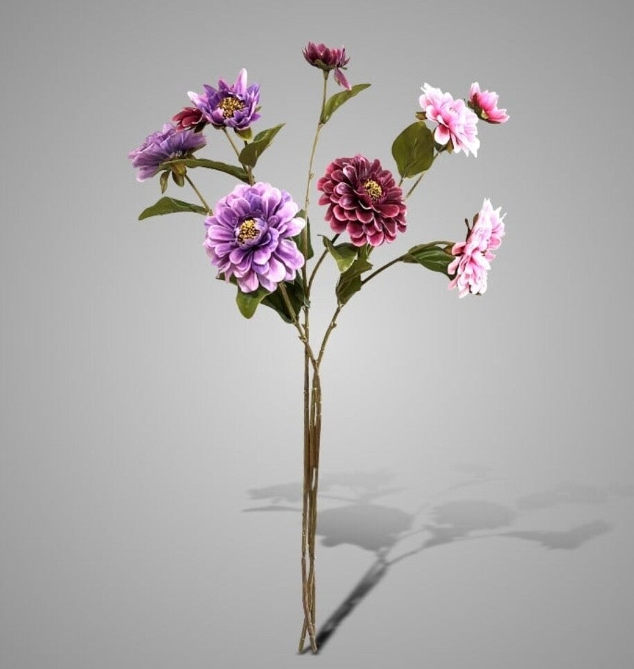 Sortment of Zinia Blue/Purple/Pink