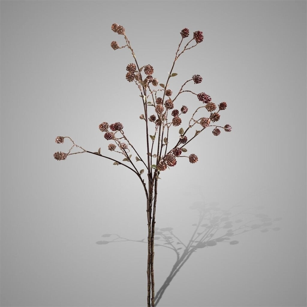 Sort. of Twig With Cedercones Autumn