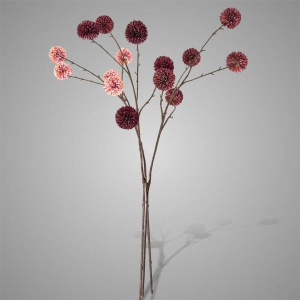 Sort. of 3 Chrysanthemum Aurumn Grande