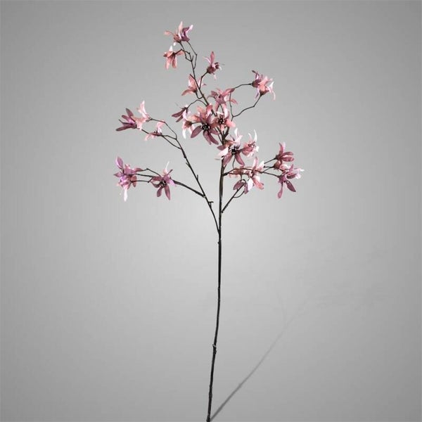 Forsythia Grande Ant. Pink 78 cm