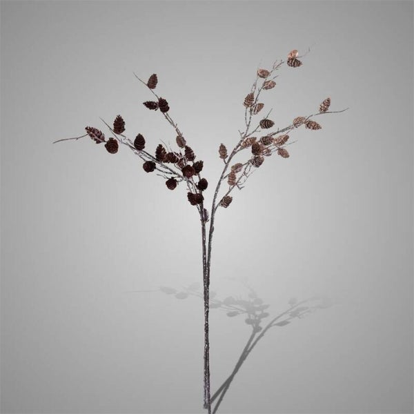 Sort. of 2 Twigs With Pinecones Autumn