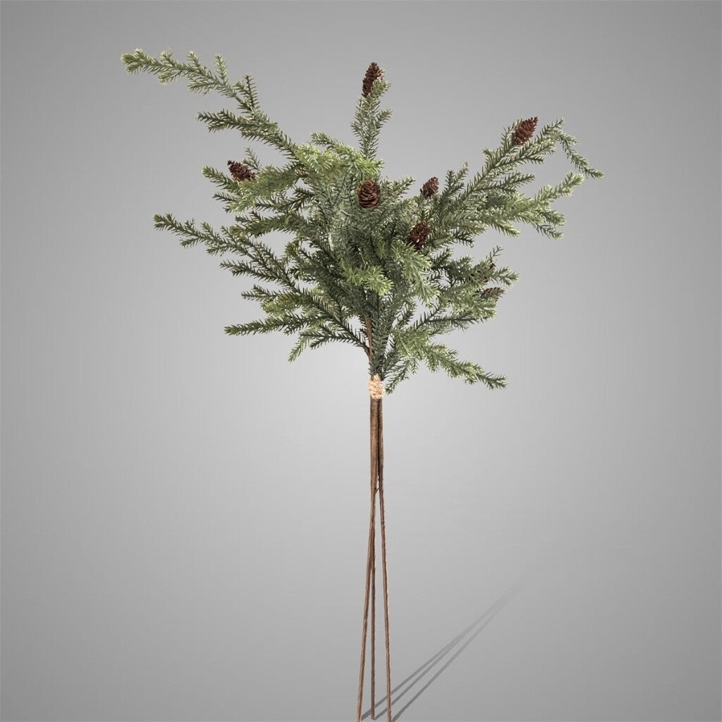 Picea Twig With Cones Bundle3