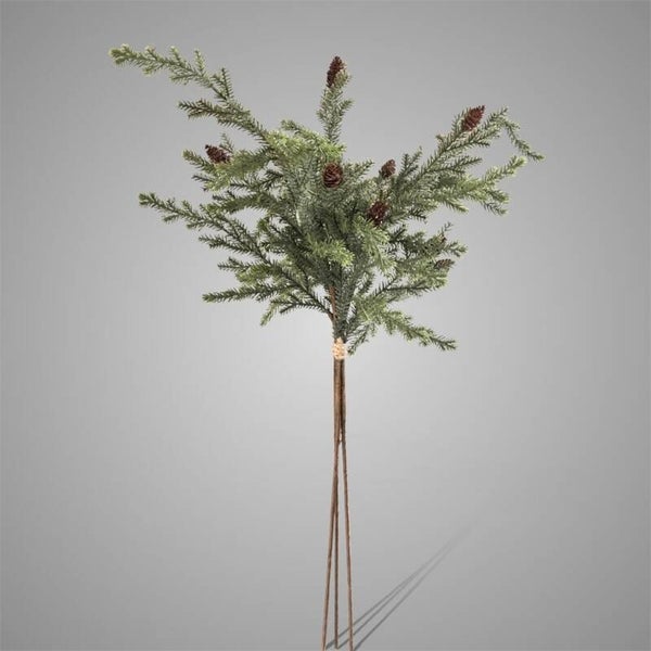 Picea Twig With Cones Bundle3