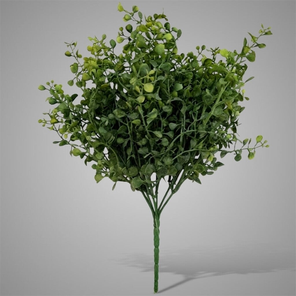Ginkgo Bush Green