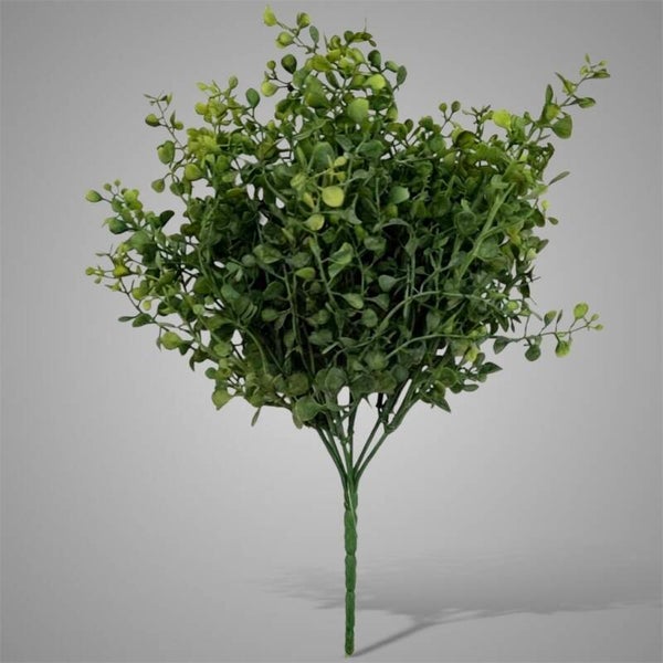 Ginkgo Bush Green