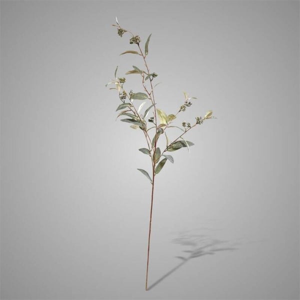 Salix Fructus Green