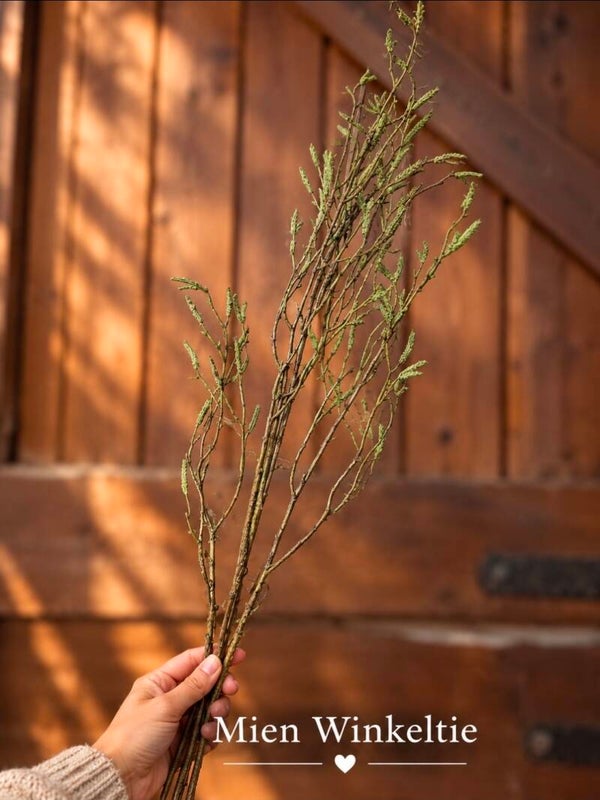 Groen takje 100cm