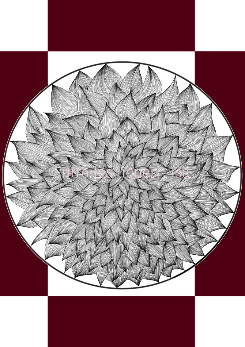rose-du-d-sert-standard.jpg