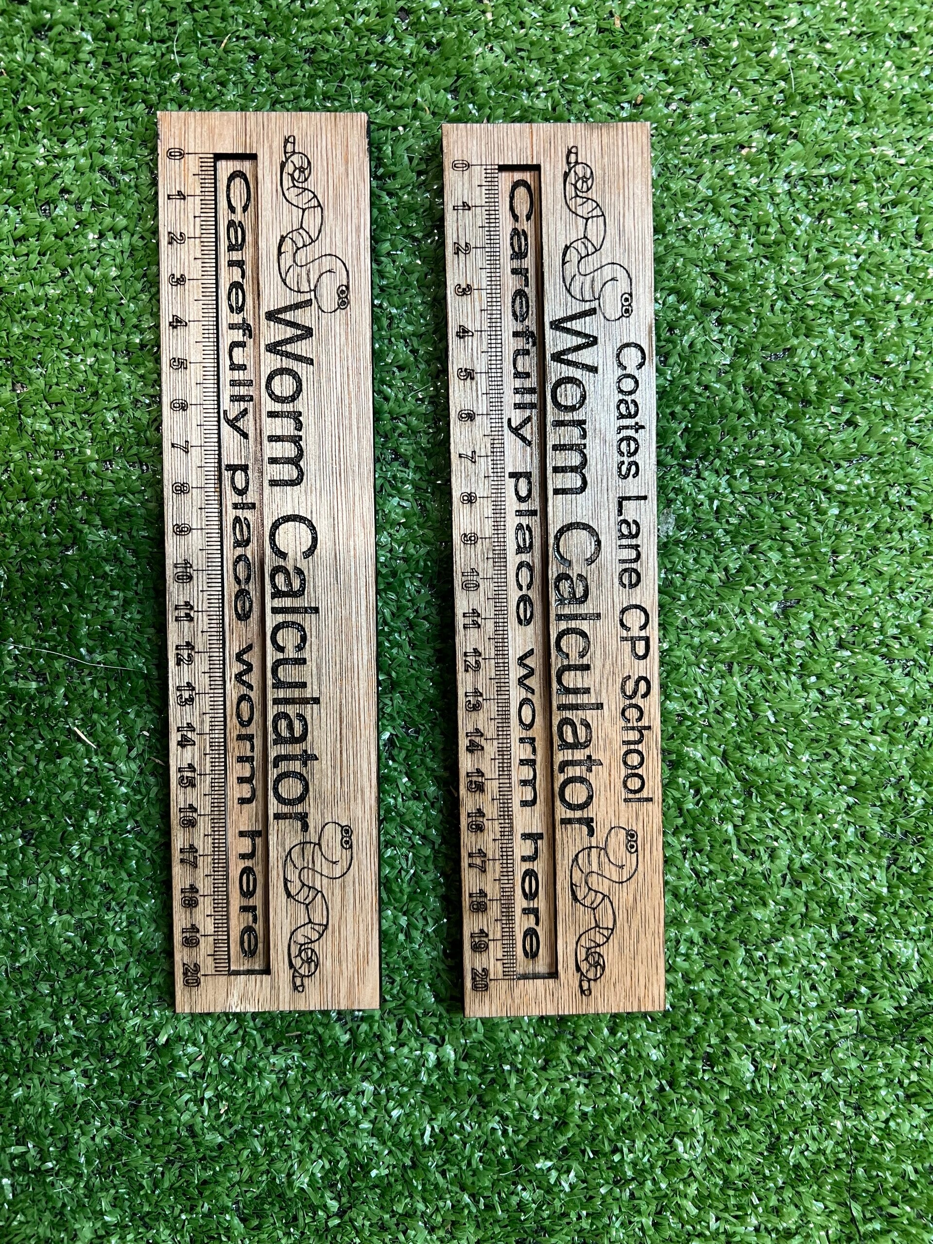 Personalised worm calculator