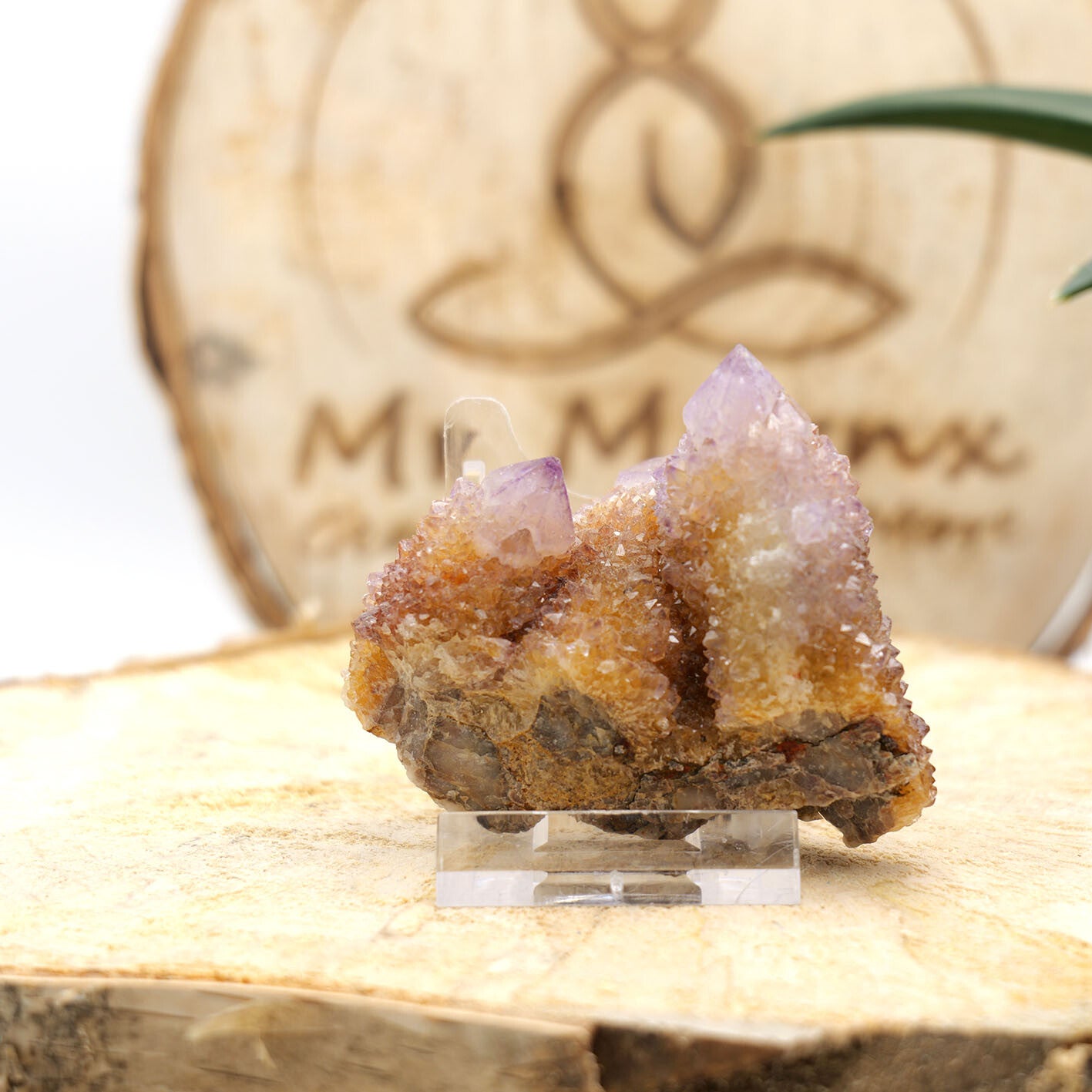 Spirit Quarts (Castus Amethist)