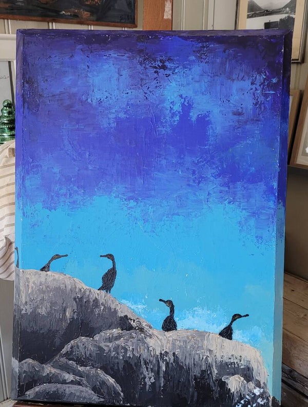 "Skarver"   66x45