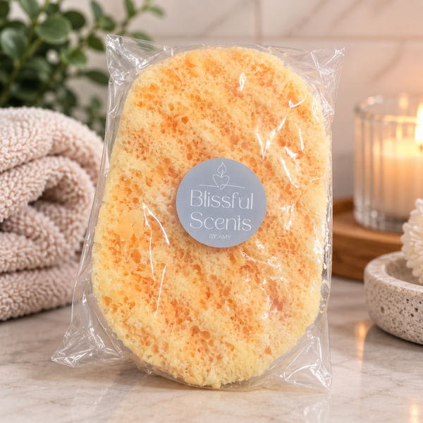 Soap Sponge