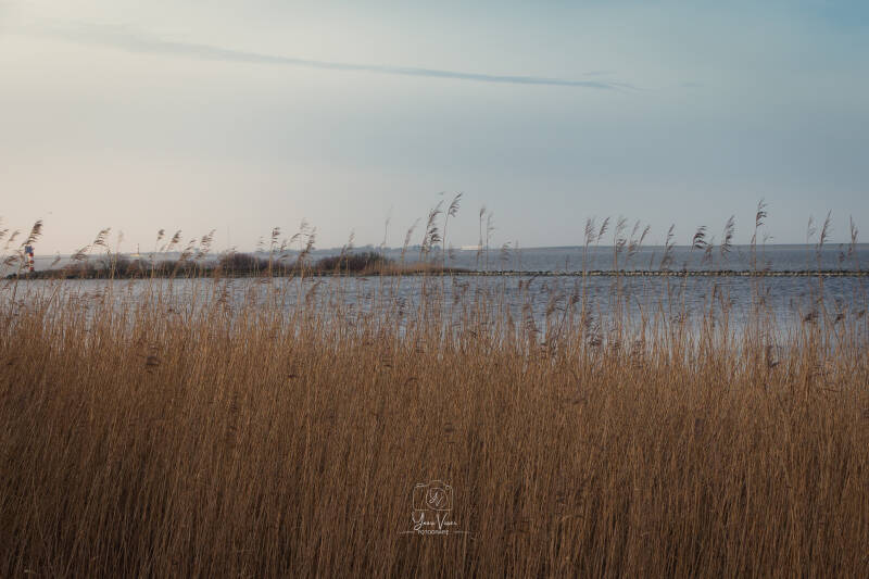 img_0117-standard.jpg