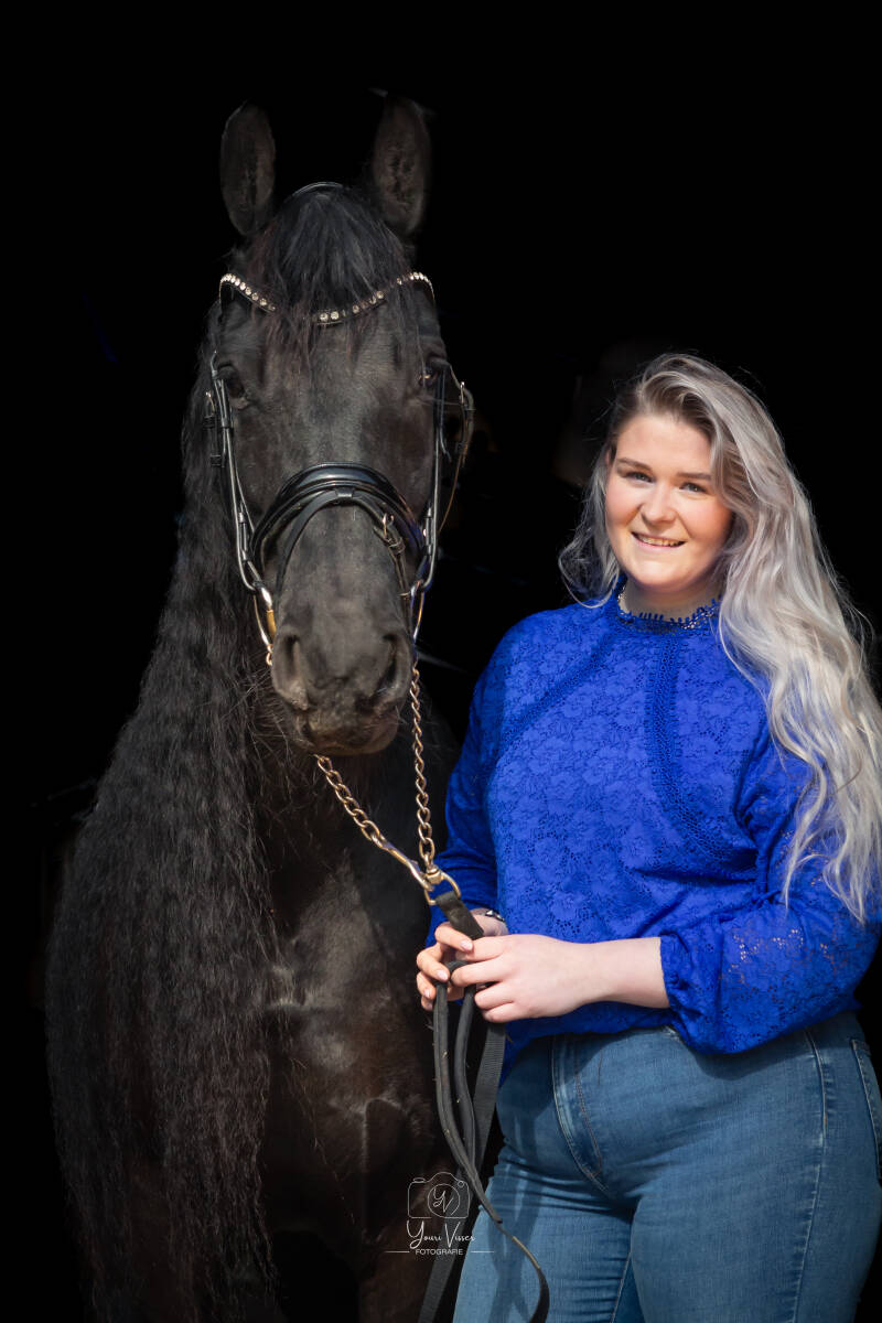 Paarden fotografie