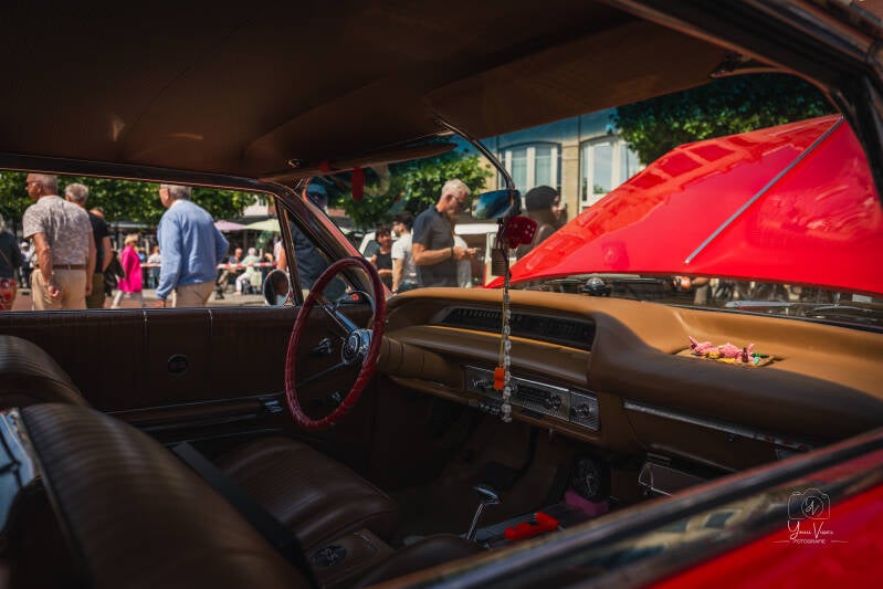 img_0551-standard-xsja7r.jpg