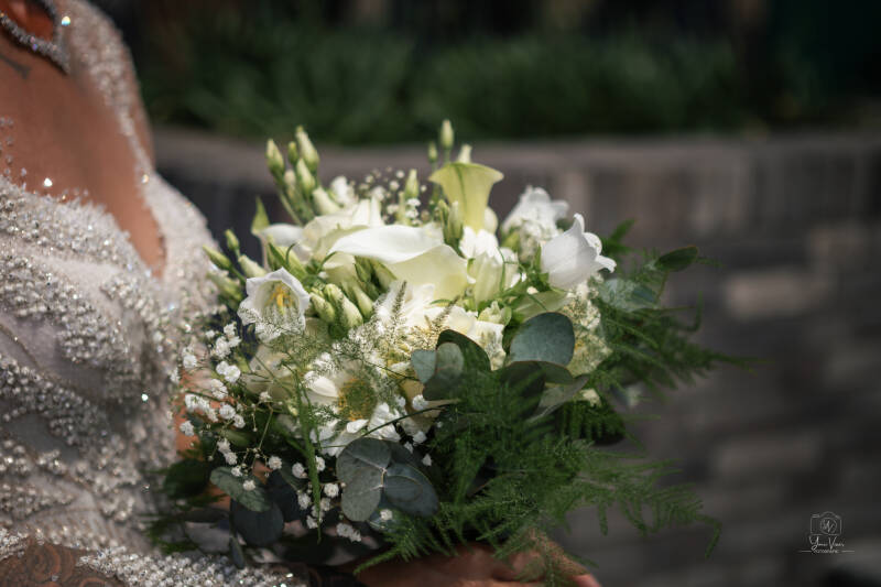 img_4157-standard.jpg