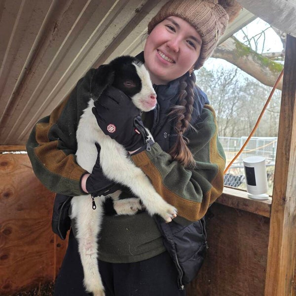 Buck born 1/9/26 - Saanen, Kiko and Boer cross on bottle