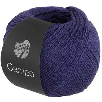 Campo 007