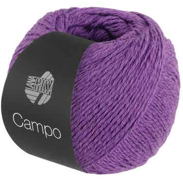 Campo 019