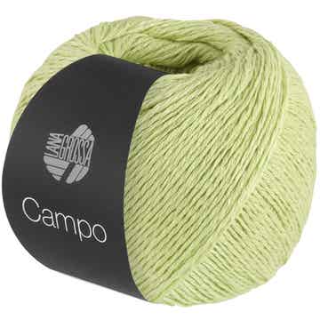 Campo 010