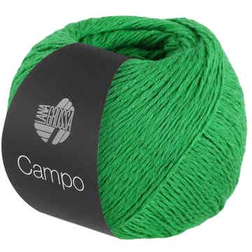 Campo 009