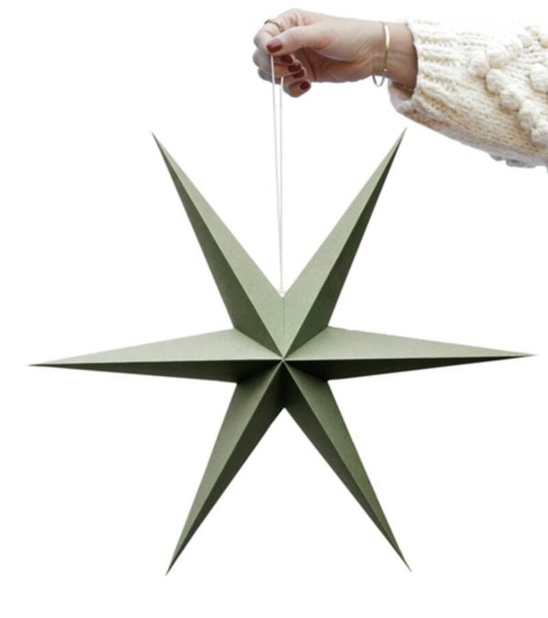 Kerststerren Delight Department groen