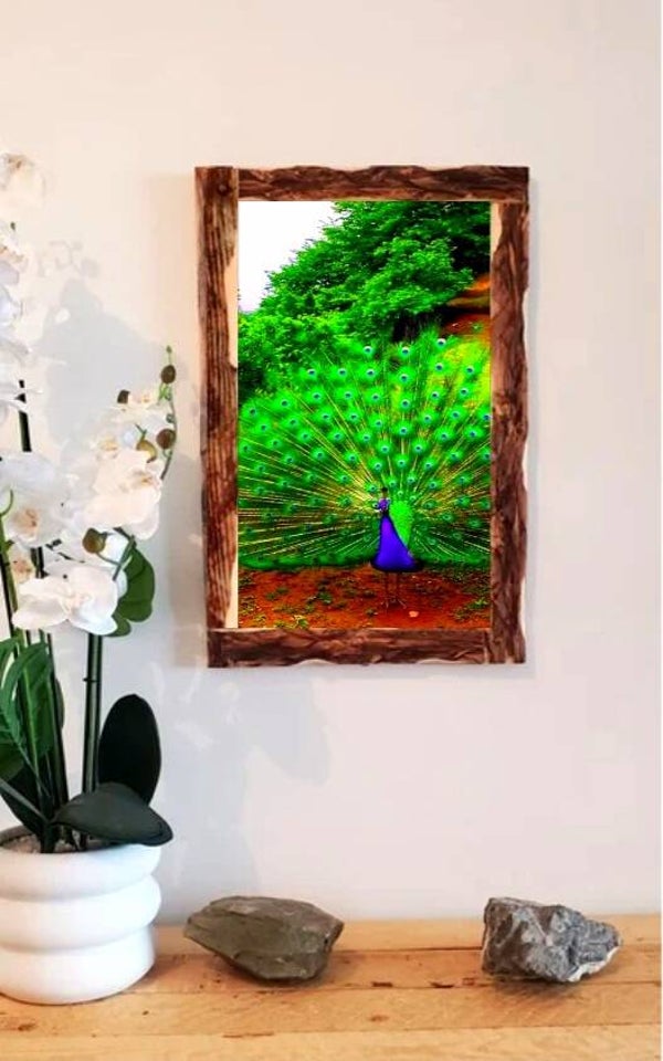 🦚 Tableau décoratif sur toile – Paon majestueux avec cadre en bois