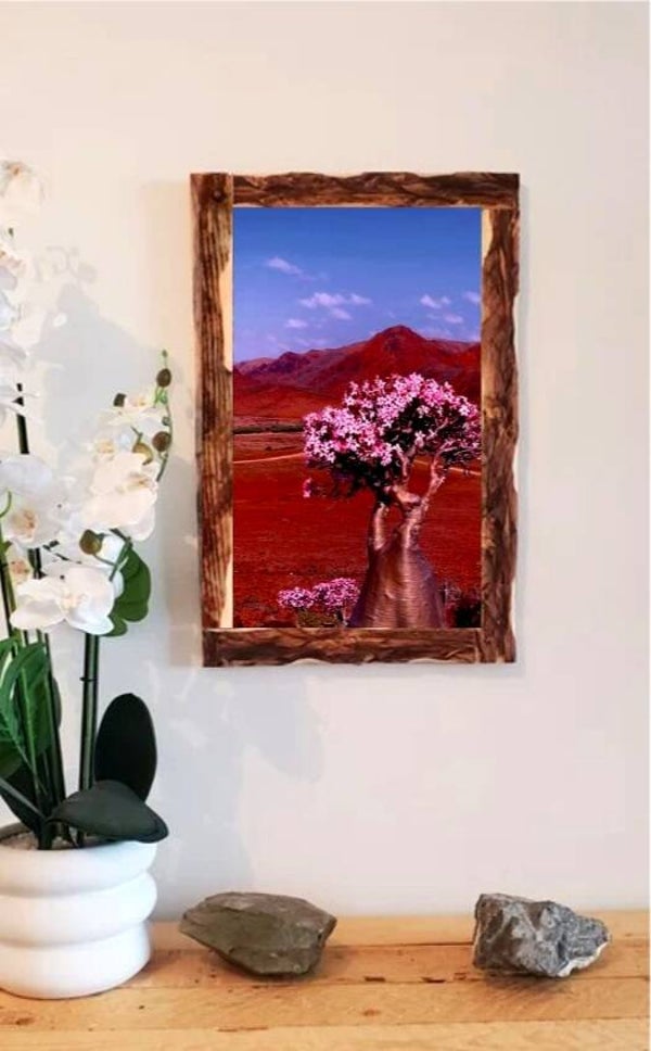 🌸 Tableau décoratif sur toile – Arbre fleuri en paysage désertique avec cadre en bois