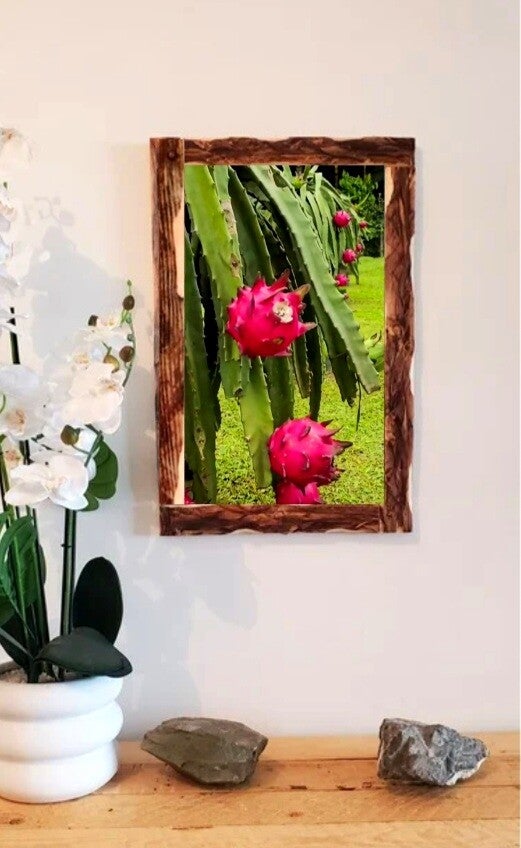 🪴Tableau décoratif – Fruit du dragon tropical