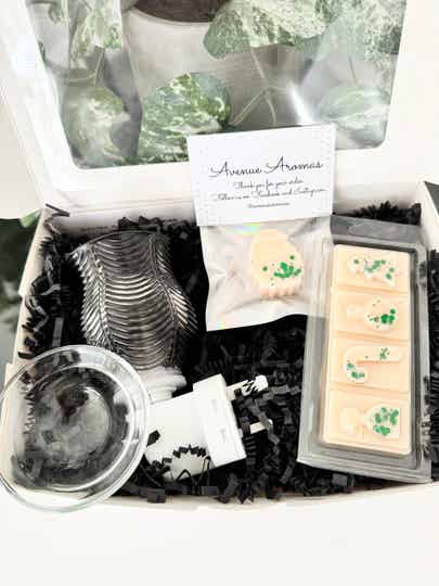 Christmas Plug in Wax Warmer Gift Box