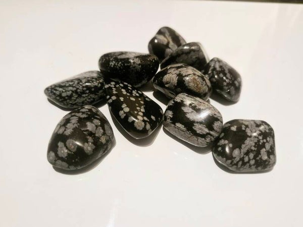 Snowflake Obsidian  With Guidance