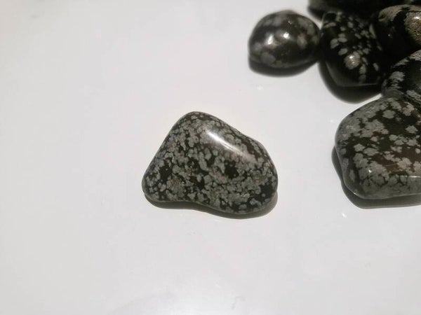 Snowflake Obsidian  Without Guidance