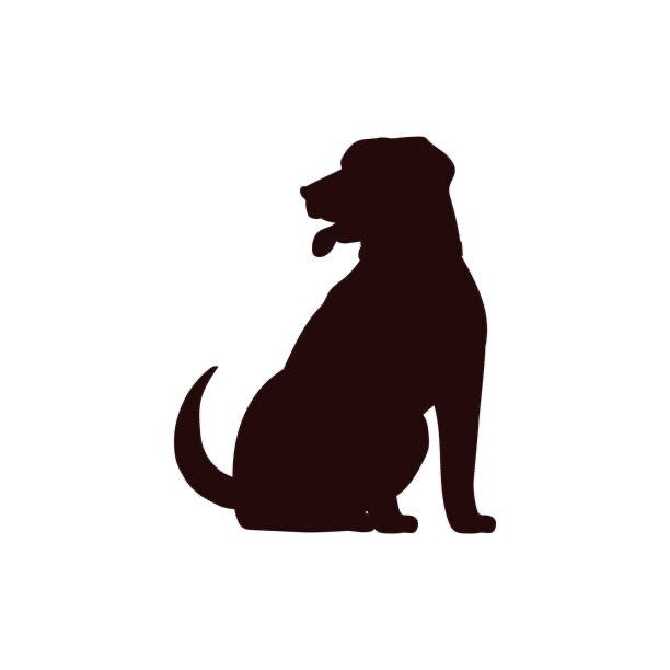 garde de chiens +10kg au domicile du maître