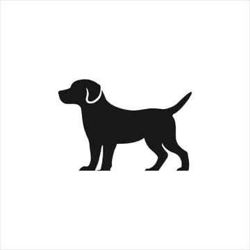 garde de chiens -10kg au domicile de pet sitting