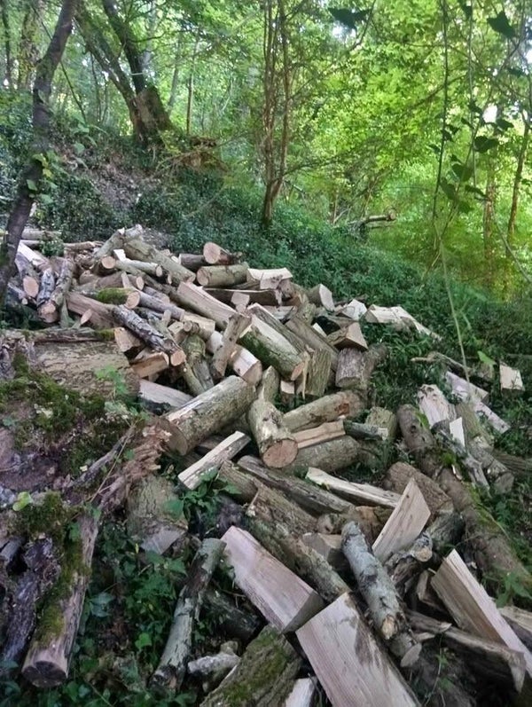 Bois de chauffage 50cm au stères