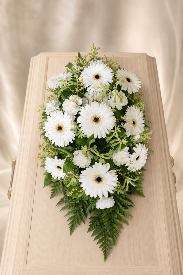Sargbukett weisse Gerbera und Känguruhpfötchen - SB 2