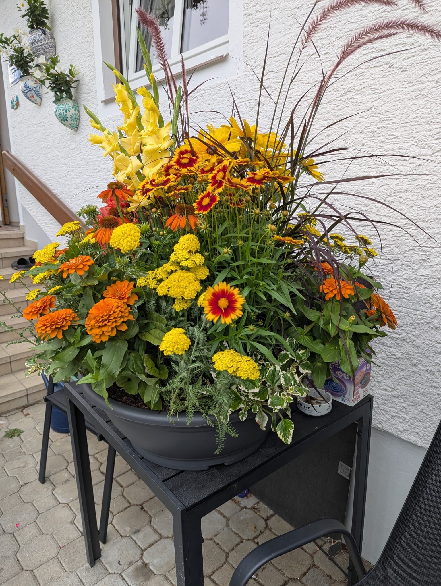 Pflanzschale in gelb - orange - PS 5