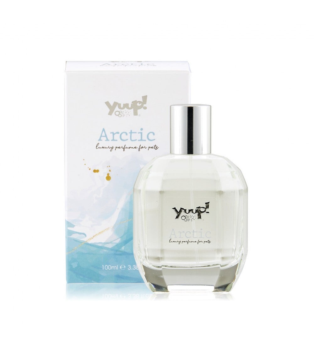 Yuup parfum