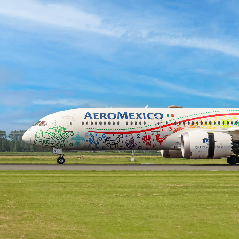 aeromexico1-standard.jpg