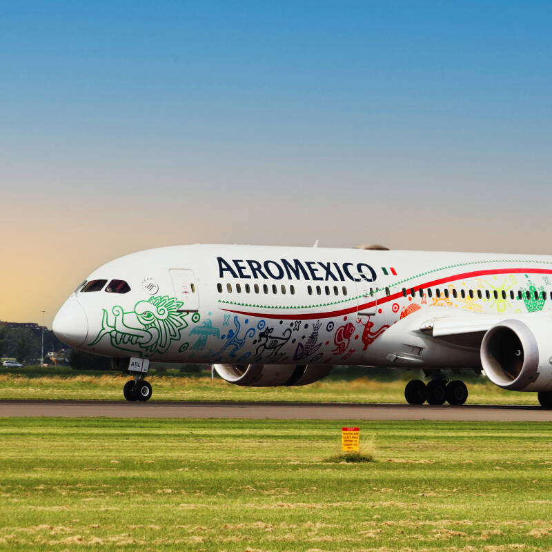 AeroMexico special livery 