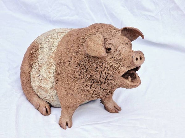 Cochon criant