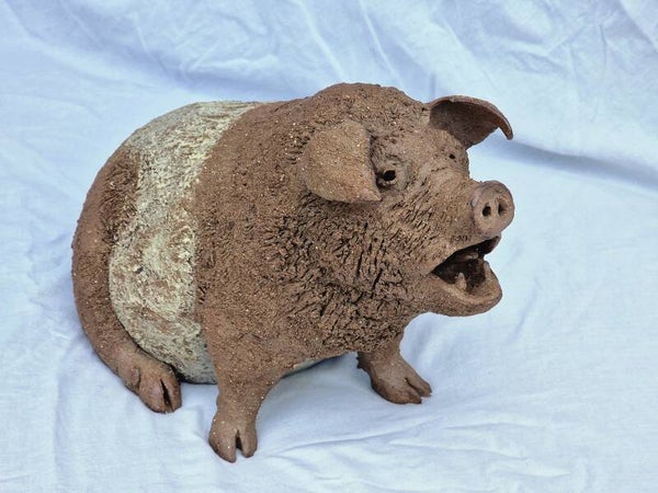 Cochon criant