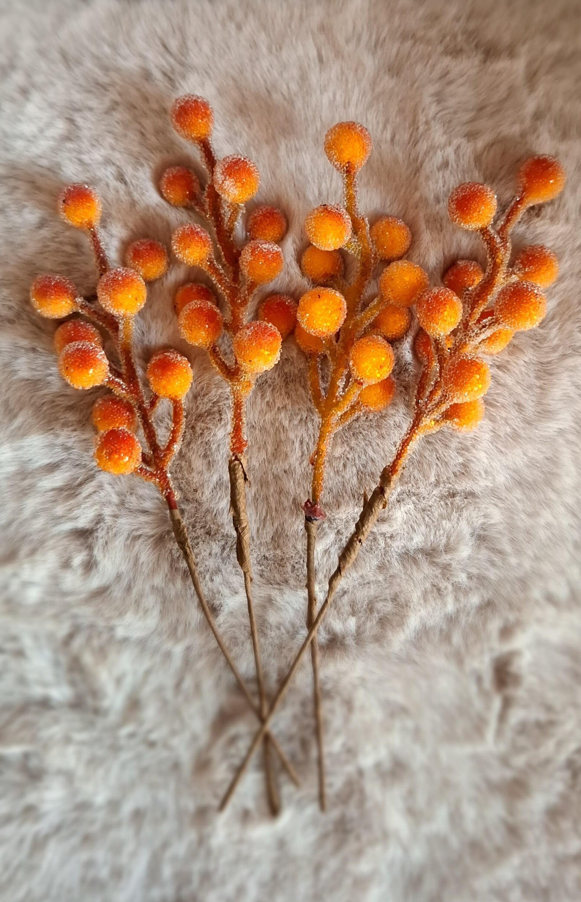 Kunst bessen (oranje)