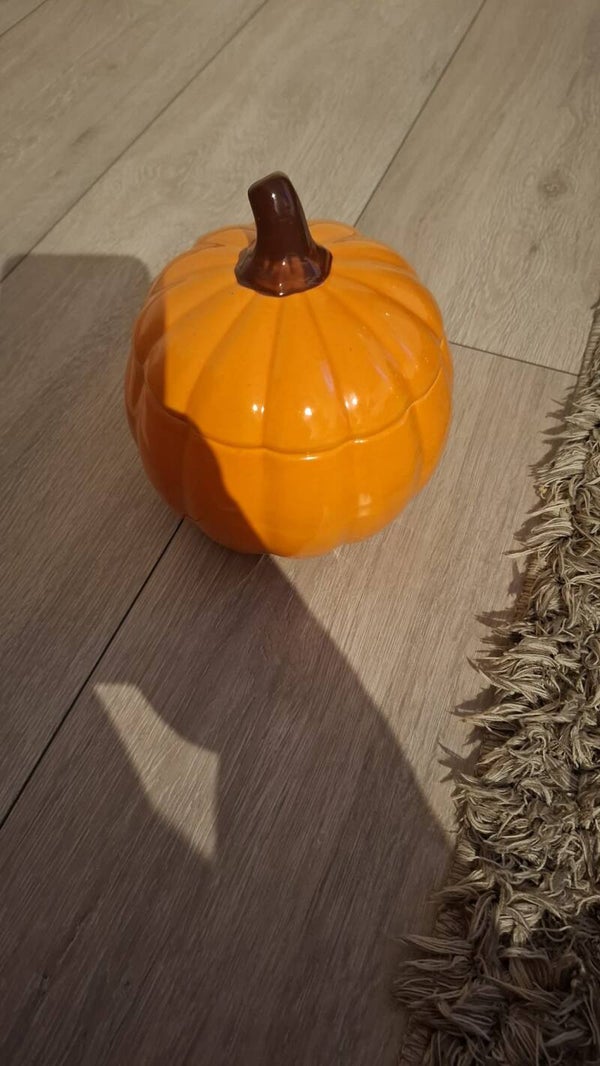 Pompoen pot oranje