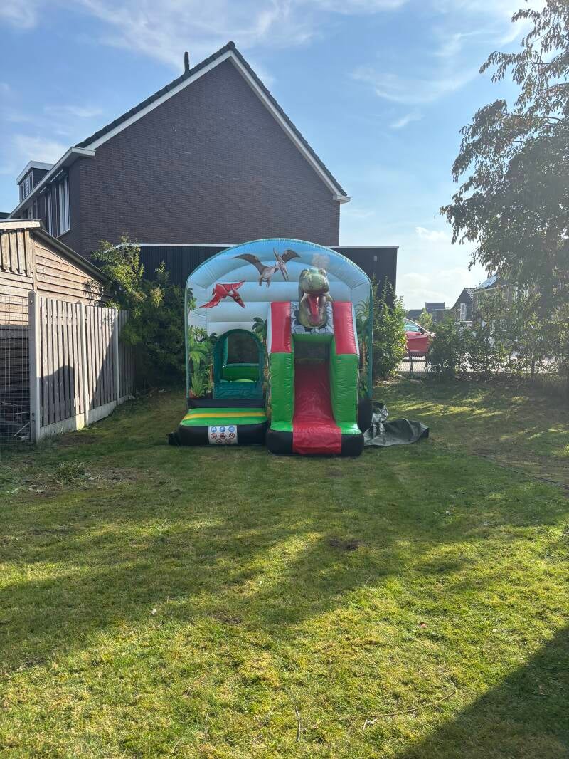 Springkussen dino