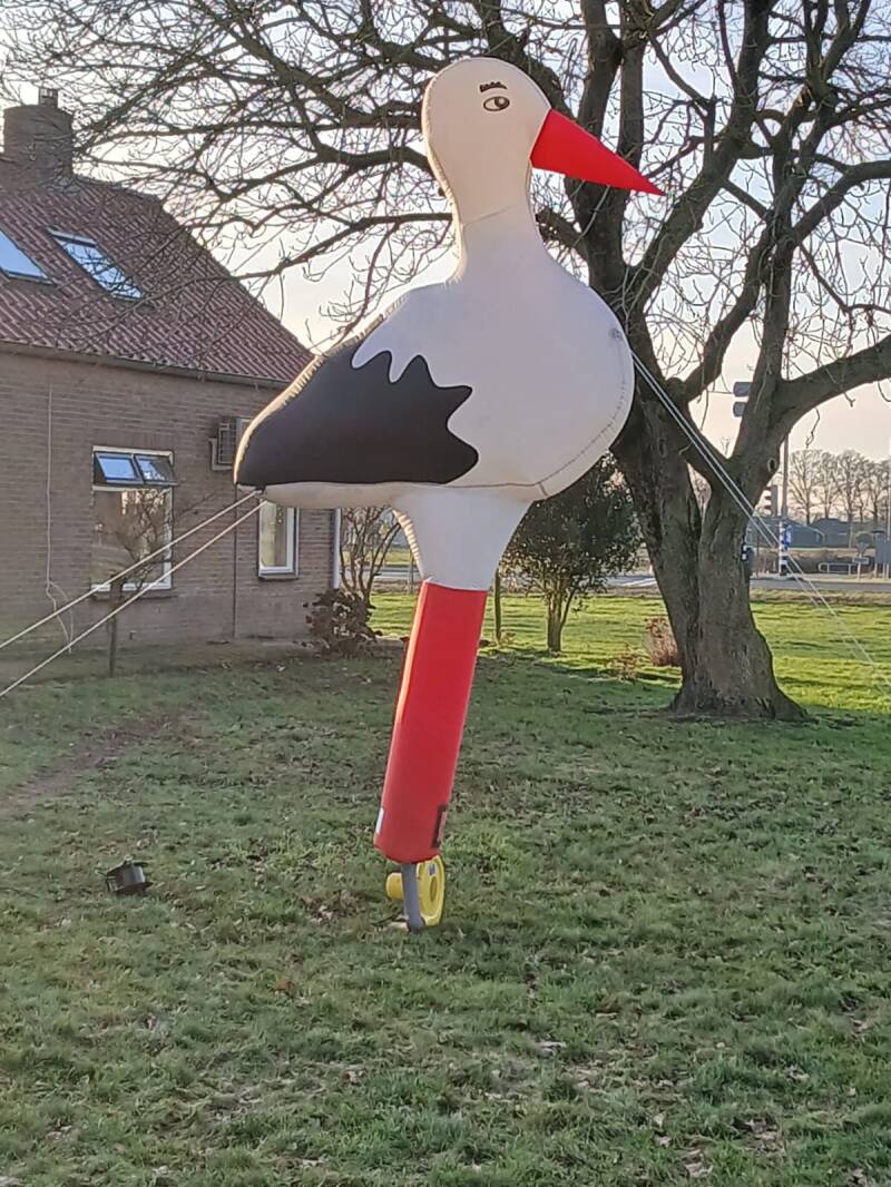 Ooievaar