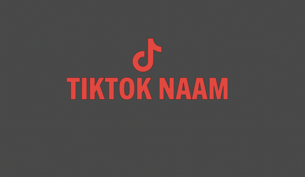 Tiktok sticker logo boven